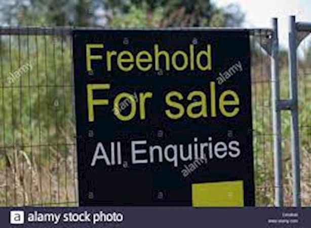 Freehold Property