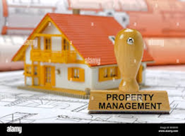 Property Management and Cleaning